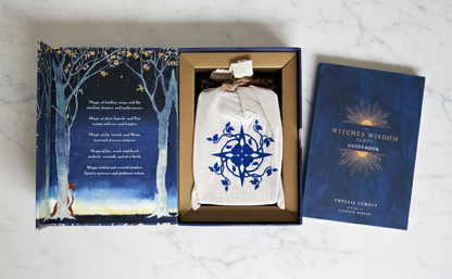 Witches Wisdom Tarot Cards