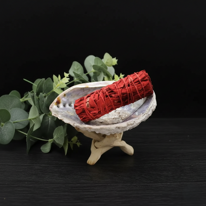 Ancient Dragon’s Sage 10 cm